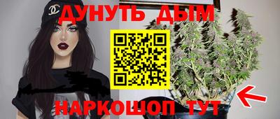 СК Моздок