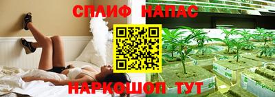 СК Моздок